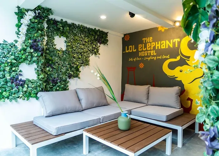 The Lol Elephant