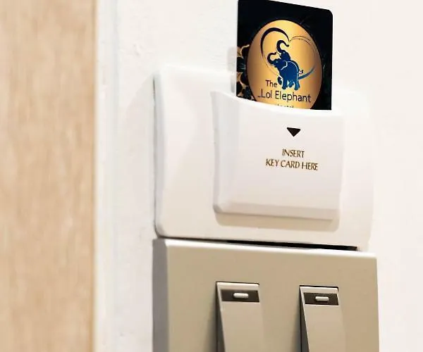 The Lol Elephant Hostel *
