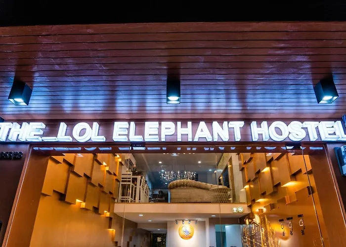 The Lol Elephant