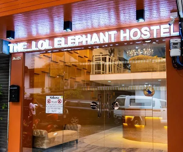The Lol Elephant * バンコク都