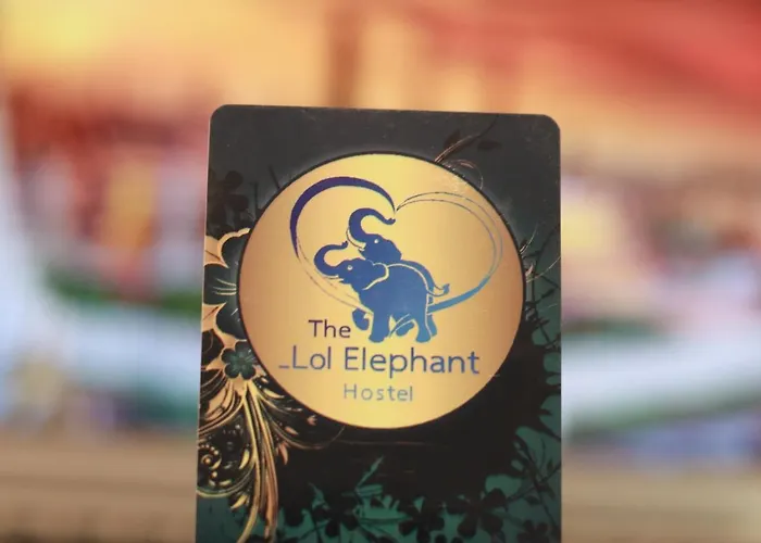 The Lol Elephant ホステル