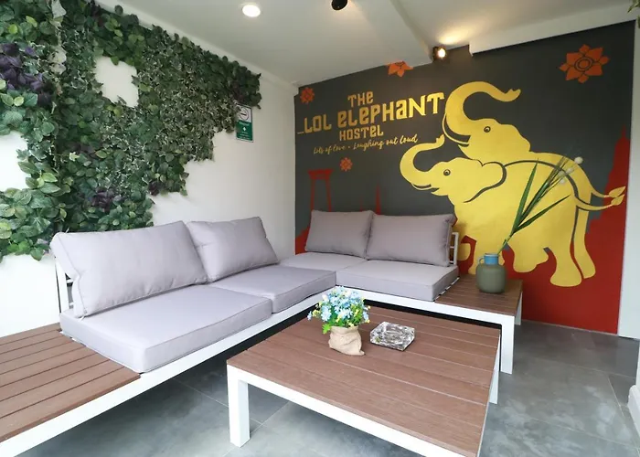 The Lol Elephant Hostel *